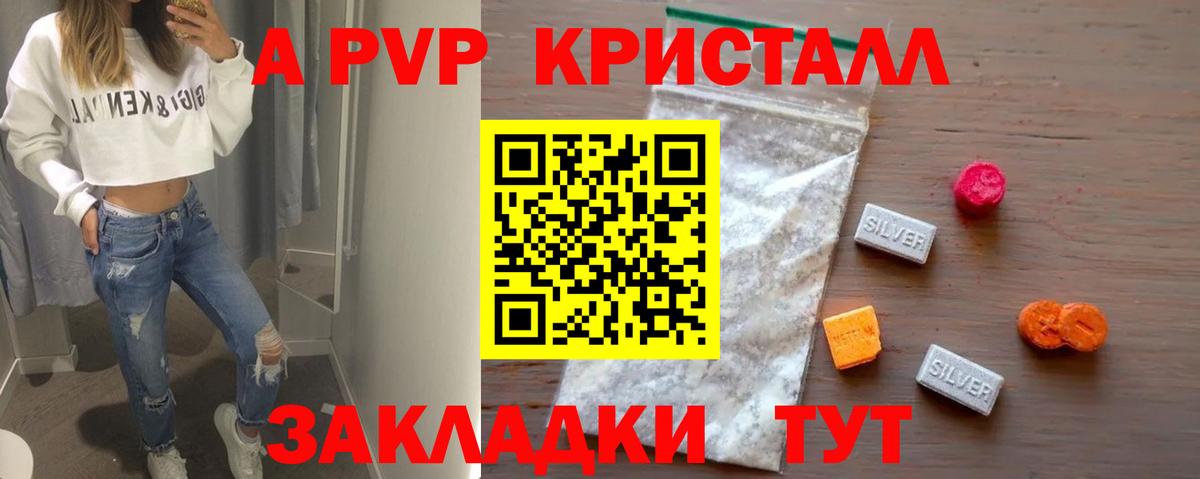 Alfa_PVP СК Будённовск