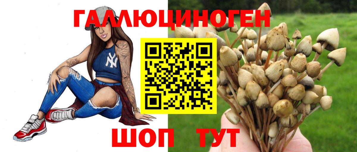 Будённовск  цены   Псилоцибиновые грибы мицелий  Вход с VPN  Галлюциногенные грибы Psilocybe 