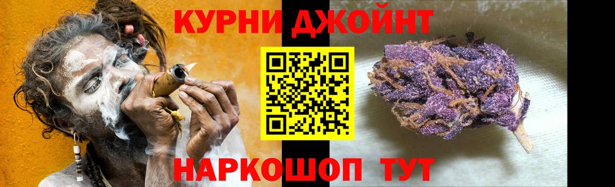 Канабис ГИДРОПОН  Марихуана индика  Шишки марихуана White Widow  Будённовск  Вход с VPN 